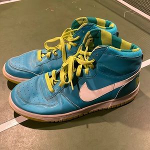 Size 9.5 Men’s Nike Dunks